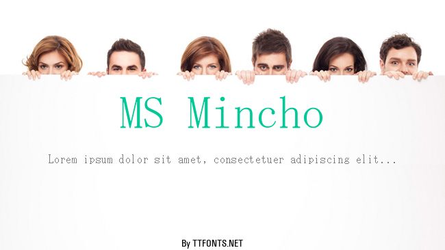 MS Mincho example
